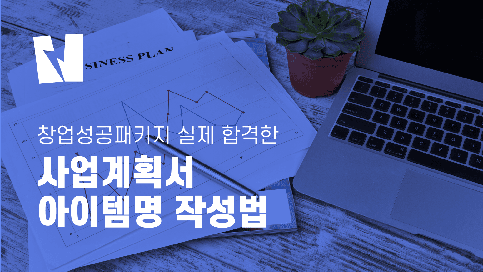 창업성공패키지 실제 합격한 사업계획서 아이템명 작성법